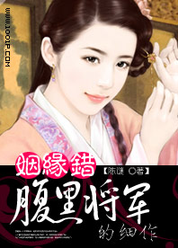 姻缘错:腹黑将军的细作
