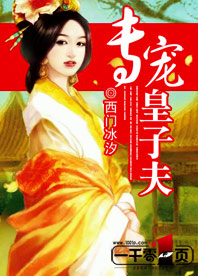 专宠皇子夫