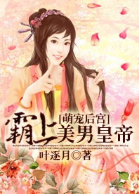萌宠后宫:霸上美男皇帝