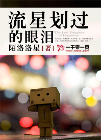 流星划过的眼泪