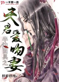 半边面具之夫君爱吻妻