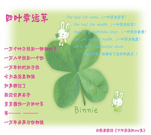 四叶草的约定