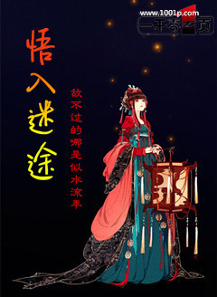 悟入迷途