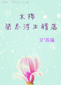 木棉染尽浮生错落