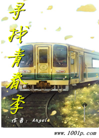 寻找青春季
