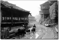 山村布依